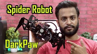 Make DarkPaw Spider Robot At Home - DIY Raspberry Pi Robotics! 🕷️