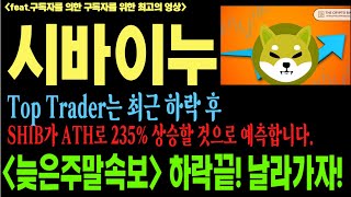 시바이누 시바이누코인 시바이누코인전망 shib doge btc 코인전망 비트코인 이더리움 도지코인