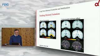 Guillen Fernandez - Long-Term Memory Formation and Stabilization in the Hippocampus and Beyond 1