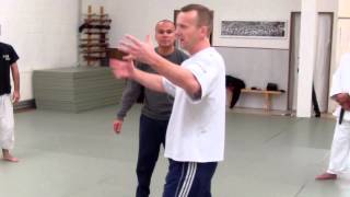 Aikido meets Systema seminar DVD trailer