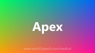 Apex - Medical Definition