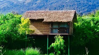 Koomankolly resort Wayanad | best hotels in Wayanad | Wayanad | Thirunelli | Resort Review