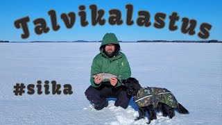 Koetaan verkot osa 4 - Kalan tuloa ei voi estää - Kalastusta Lapissa #hauki #kalastus #lappi #siika