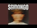 Sgidongo 2.0