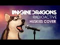 Husky Sing Radioactive by Imagine Dragons