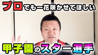 【厳選５人】プロでも活躍を期待！もう一花咲かせてほしい元甲子園スター！