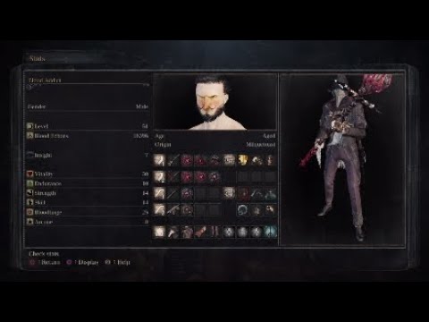 Bloodborne - The Lvl 51 SPIKYBLOOD Twink Build! (Bloodletter) - YouTube