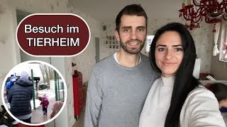 Besuch im Tierheim | so haben wir uns das nicht vorgestellt | erster Eindruck | Marytuga