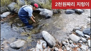 [통발] 2천원이면 누구든 '산메기' 잡을수 있다/ fishbowl fish trap