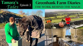 Tamara's Tales - Episode 2 - Greenbank Farm Diaries