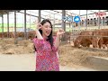 어서와 선진은 처음이지 ㄹㅇ소농장 체험 리뷰 ✨ 보러오🐮