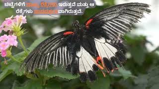 5 ನೇ ತರಗತಿ ಪಾಠ - 1 ಜೀವ ಪ್ರಪಂಚ  ( Lesson - 1 Living world ) #librare  #kids  #children