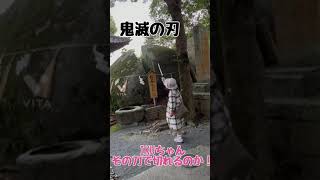 鬼滅の刃　炭治郎が切ったと言われている大岩！