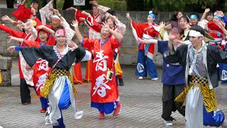 インターバル総踊り『シャケサンバ』／ザ・よさこい！大江戸ソーラン祭り2018