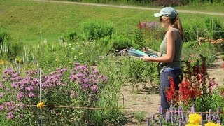 EcoBeneficial Interview: Annie White on Native Plant Cultivars, Native Plants & Pollinators