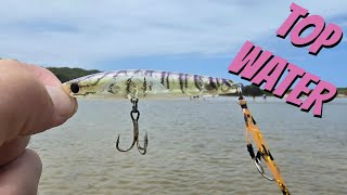 Trying to Catch a Fish During Busy Xmas Holidays - Whiting on Lures