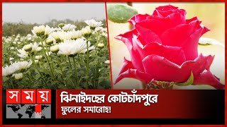 দরজায় কড়া নাড়ছে পহেলা ফাল্গুন! | Jhenaidah News | Valentine's Day | Somoy TV