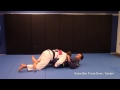 bernardo faria s kneebar from over under pass dogbar