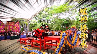 Lion Dance | 2024 Guangdong University Students Lion Dance Championship | 华南农业大学珠江学院醒狮队  舞龙舞狮锦标赛