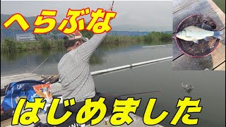 釣り ど素人！へらぶな　はじめました!!　へらぶな釣り 初心者 初めての朝日池編