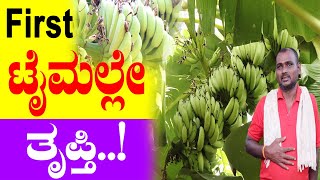 ಬಾಳೆ ಬೆಳೆಗಾರರ ಖರ್ಚು ಉಳಿಸಲು ಇಲ್ಲಿದೆ ಉಪಾಯ..! How to decrease expenditure in banana crop