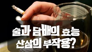 술담배 효능? 산삼의 부작용?