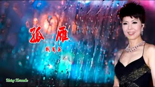 孤雁-關菊英伴奏 KARAOKE