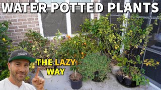 The Laziest Way To Water Potted Plants While Away On Vacation