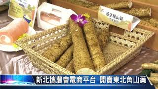 大豐新聞 新北攜農會電商平台 開賣東北角山藥