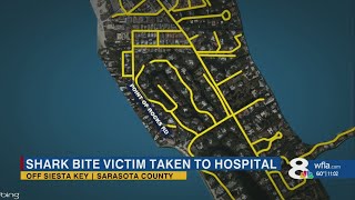 Person hospitalized after being bit by shark off Siesta Key