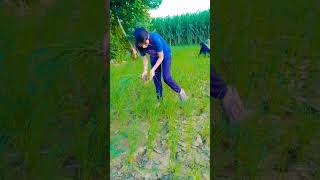 Kisan life 🌱#farming #shortvideo 🌱