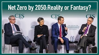 Net Zero By 2050: Reality or Fantasy?