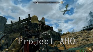 #1【Skyrim Special Edition】ゆっくり実況プレイ　クエストMOD【Project AHO】