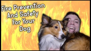 Dog Fire Prevention and Safety Tips | Pupdate #46 | MumblesVideos Pet Tips