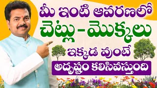 మీ ఇంటి ఆవరణంలో చెట్లు - మొక్కలు ఇక్కడ వుంటే అదృష్టం కలిసివస్తుంది | Vastu Chaitanyam