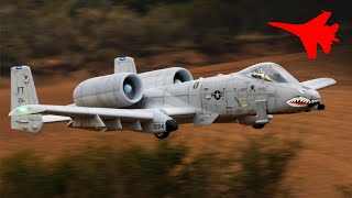 Pilot Shows Off Gorgeous A-10 RC Jet Powered by Twin M210TS Engines!