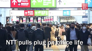 NTT pulls plug on office life