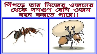 20টি মজার তথ্য যা আপনারা কখনো দেখেননি।। Twenty Interesting facts which you have never seen before..