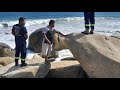 Copala, Gro. Una persona desaparecida por arrastre de mar en Playa Casa de Piedra.