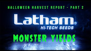 Latham Halloween Harvest Report #11   Part 2