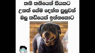 FB Post Sinhala/ FB jokes Sinhala/ athal bukiya- Page 14