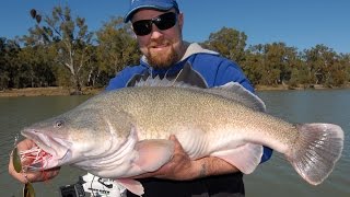 Bassman Spinnerbaits DT Murray Cod