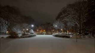 Bergen County wakes up to fluffy snowfall, wintry conditions