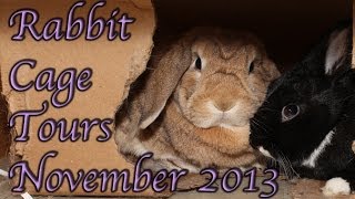 BudgetBunny: Rabbit Cage Tours November 2013