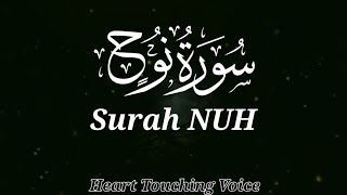 Surah Nuh سورۃ نوح | World Soothing Quran Recitation | Qari Aman Ullaha Faizi | Quran Tilawat |