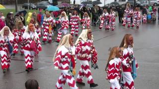 NZG Narrenzunft Geislingen Polonaise 2015