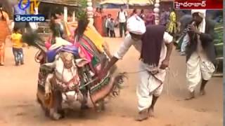 Hyderabad's Shilparamam decked up for 'Sankranti Sambaralu'