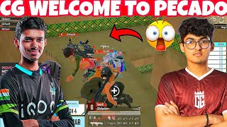 CARNIVAL GAMING Vs SouL Last Zone Fight For Chicken Dinner 🔥 CG Welcome To Pecado 3 Squad ✅ Kiwos yt