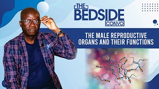 The Hidden Truth About MALE REPRODUCTIVE ORGANS Nobody Talks About