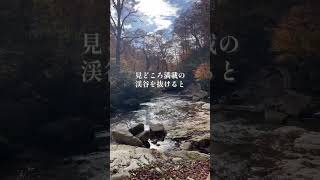 日本の滝100選第2位｢安の滝｣　落差90mの2段構造の滝です。安の滝を訪れると恋が叶うと言われています♡#滝#日本の滝百選#恋愛成就#絶景 #waterfall#秘境#japan#akita